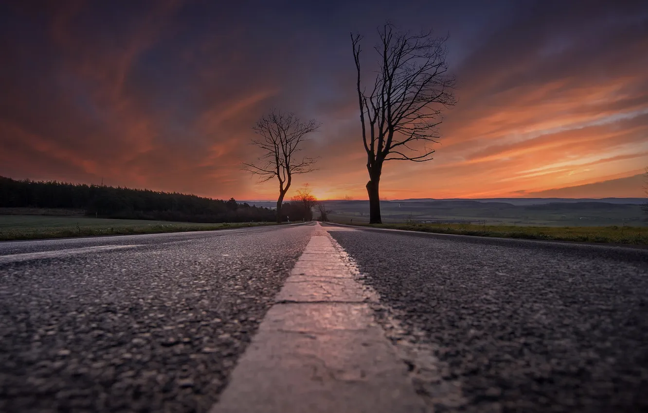 Photo wallpaper road, trees, sunset