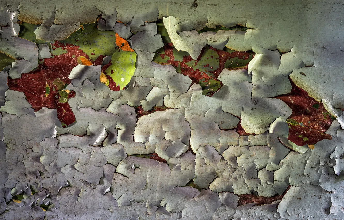 Photo wallpaper background, wall, texture