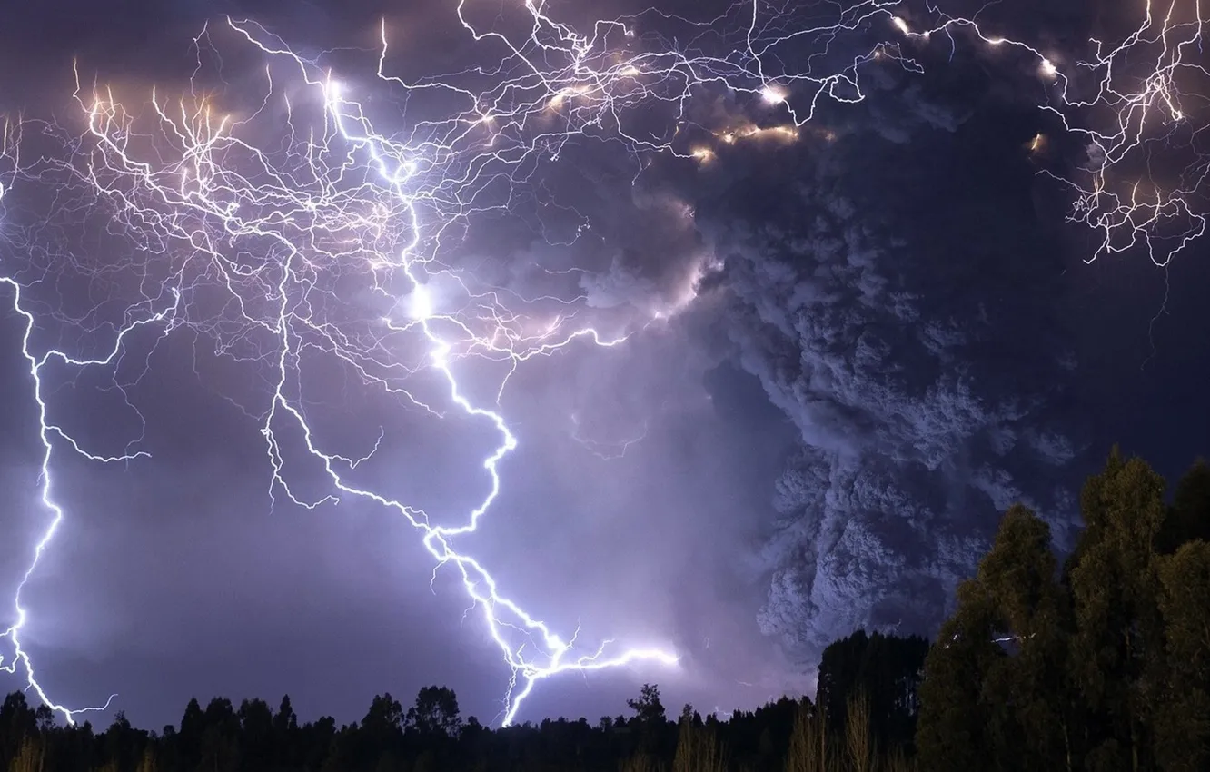 Photo wallpaper trees, thunder, cloudy