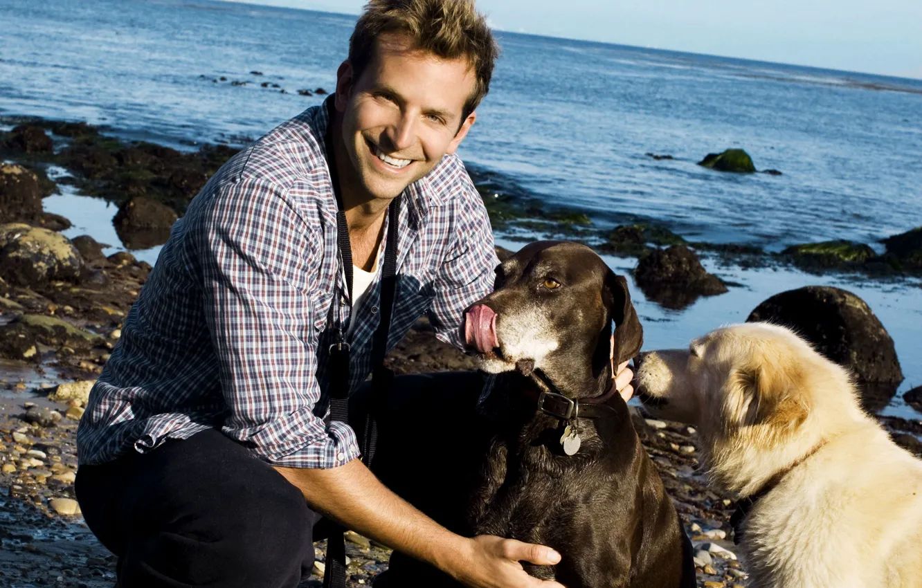 Photo wallpaper dogs, smile, shore, actor, male, Bradley Cooper, Bradley Cooper