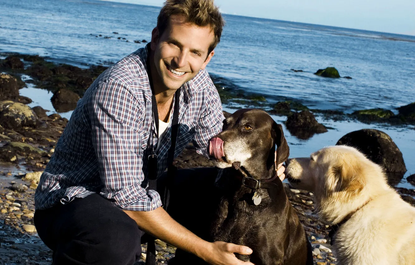 Photo wallpaper smile, shore, dog, actor, male, Bradley Cooper, Bradley Cooper