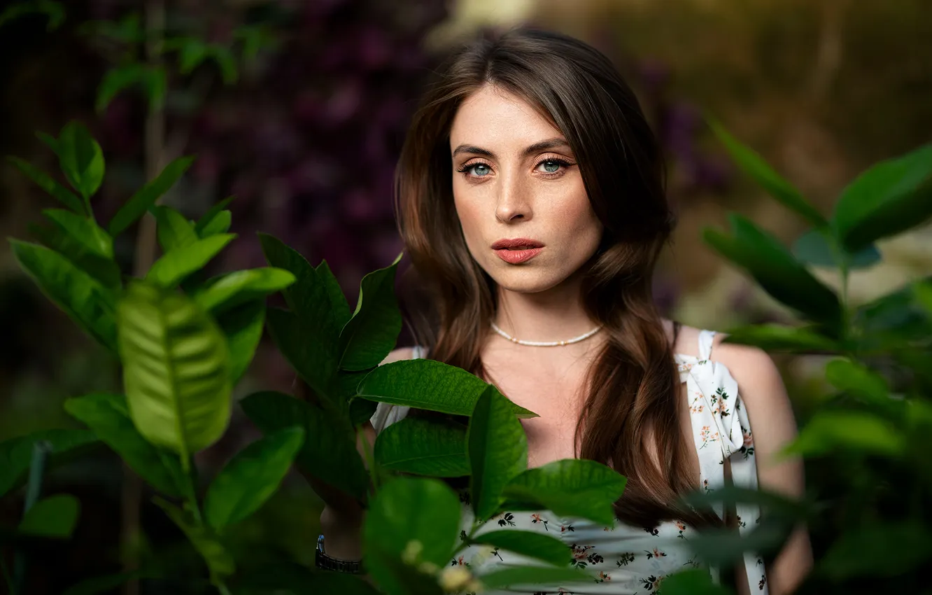 Photo wallpaper look, hope, portrait, Dmitry Shulgin