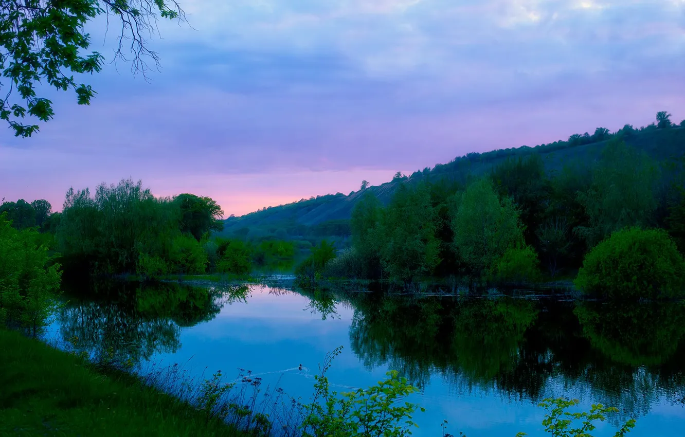 Photo wallpaper trees, nature, lake, reflection, beauty, the evening, Dzyuba Nelly, Only silence