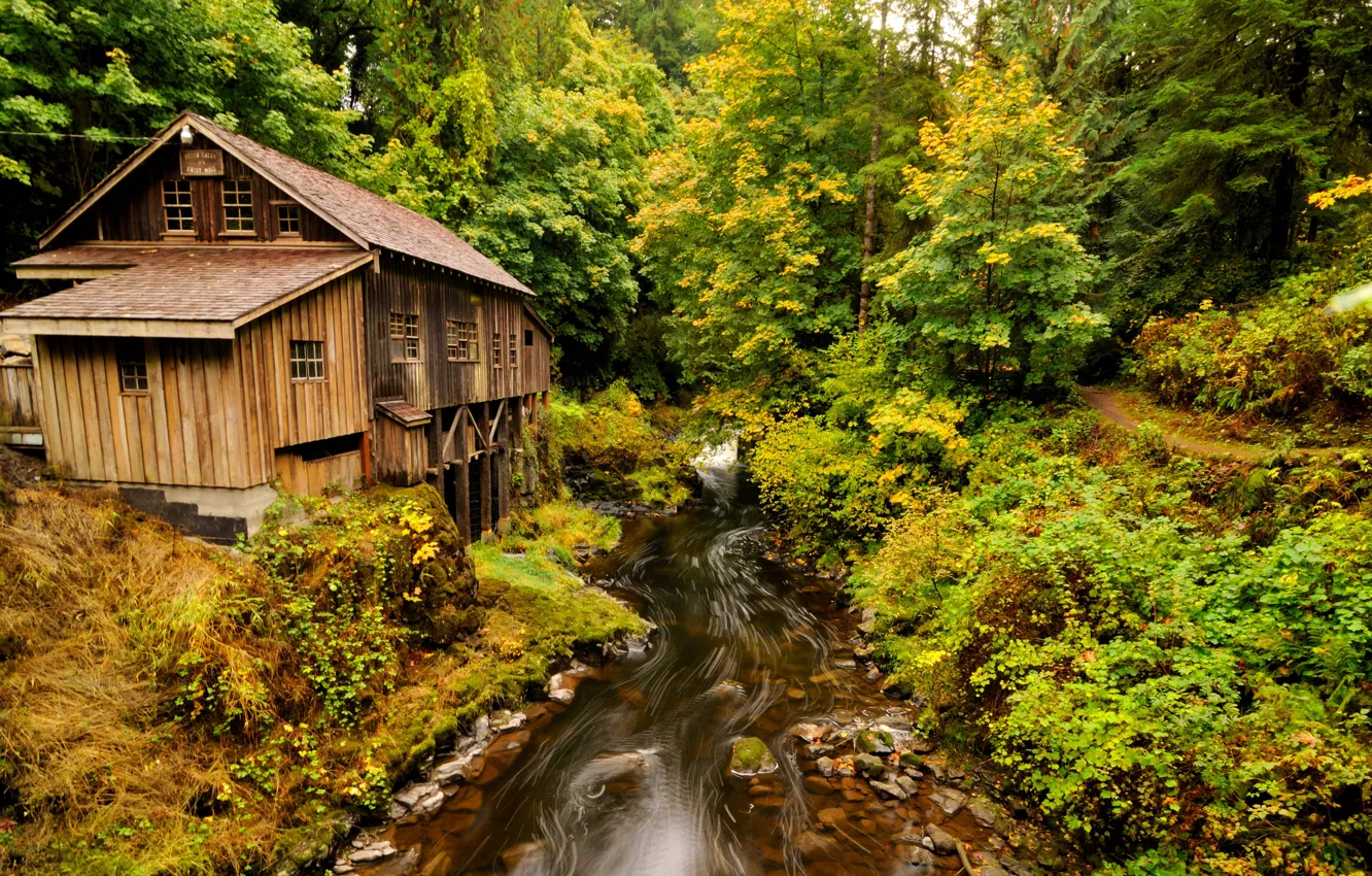 Photo wallpaper autumn, forest, trees, stream, stones, Washington, USA, water mill