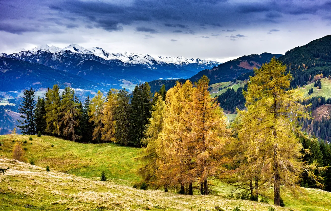 Photo wallpaper autumn, trees, mountains, Austria, November