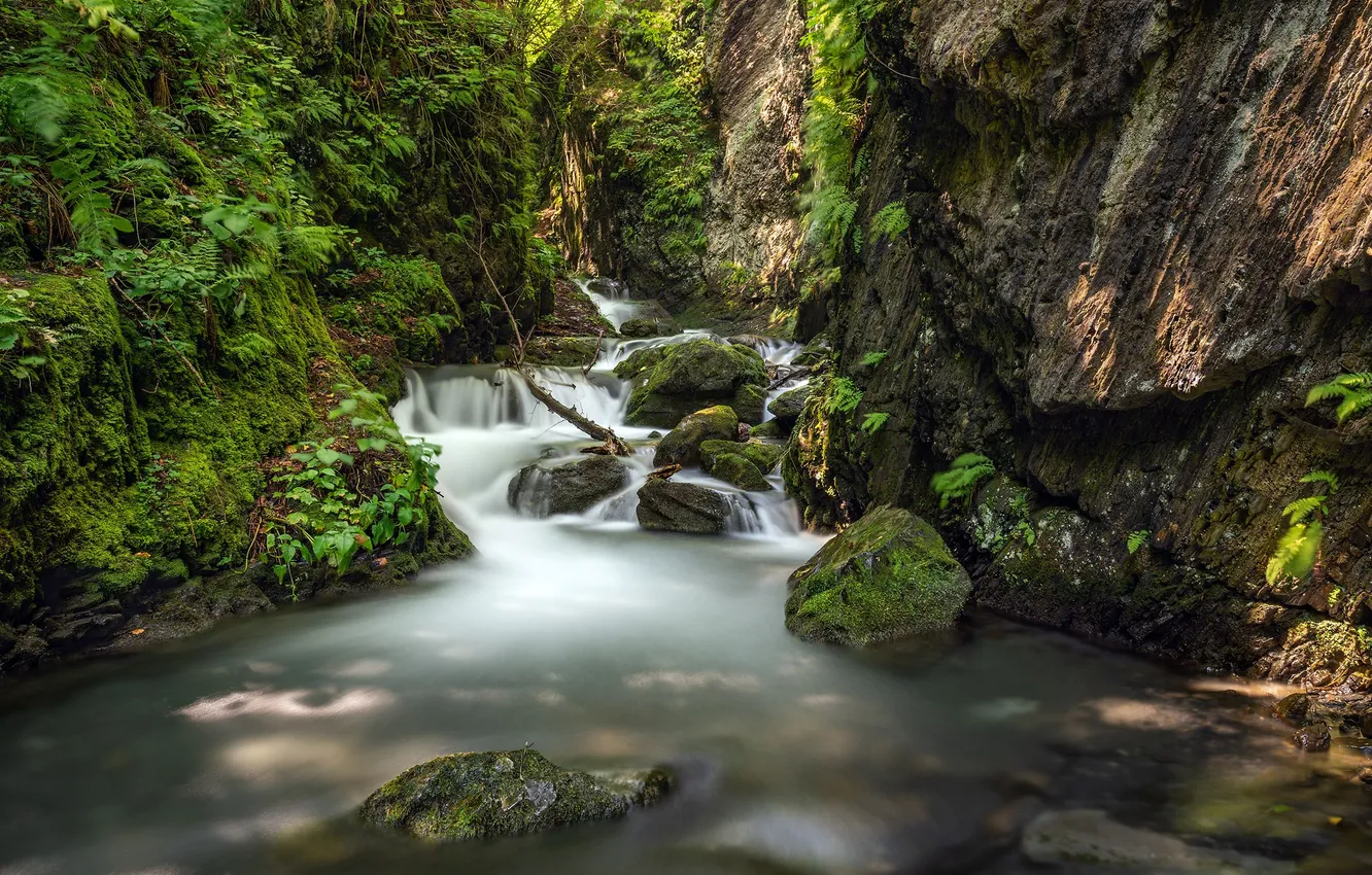Photo wallpaper forest, river, stream, stream, Sergey Serushkin, Lyazhginsky waterfall