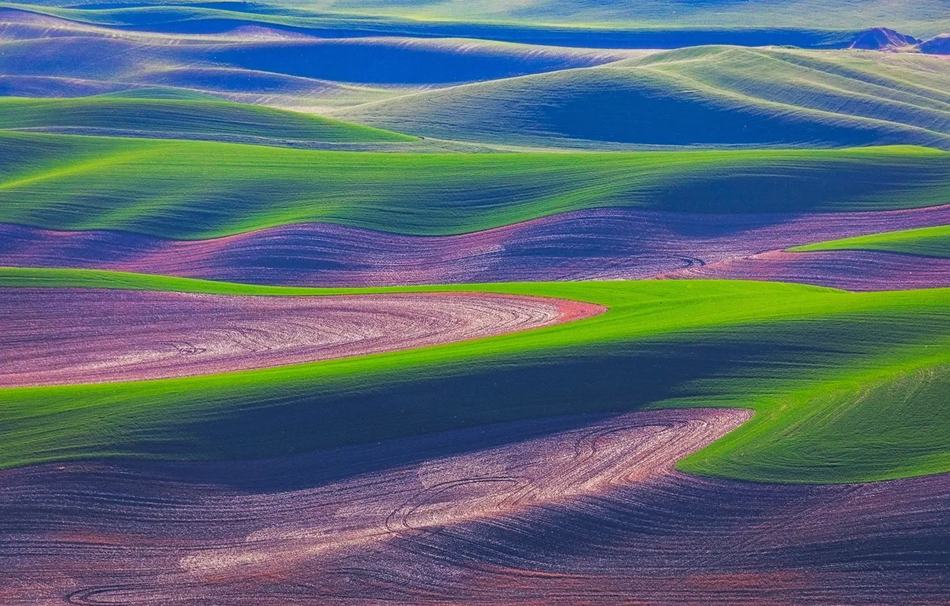 Photo wallpaper field, grass, hills, USA, Washington