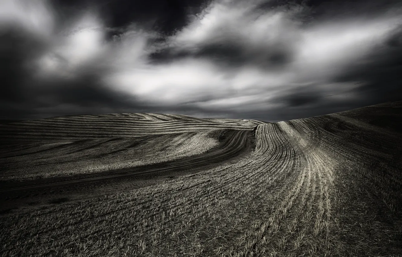 Photo wallpaper field, the sky, nature