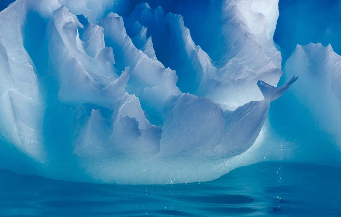 Photo wallpaper winter, water, light, nature, ice, iceberg, Antarctica