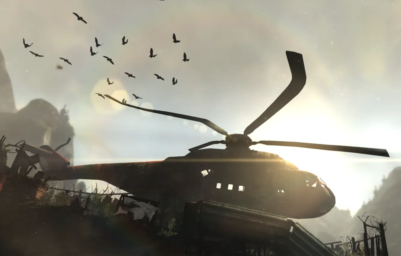 Photo wallpaper birds, the game, helicopter, Tomb Raider