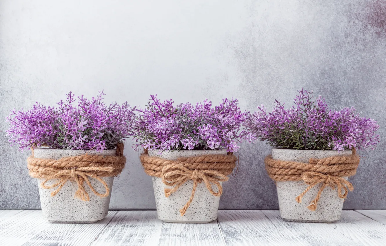 Photo wallpaper purple, flowers, pot, decor, ELIZAVETA ELESINA