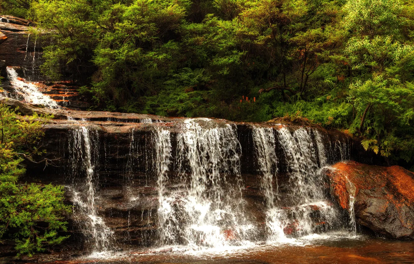 Photo wallpaper stream, stones, waterfall, Australia, cascade, the bushes, Wentworth Falls