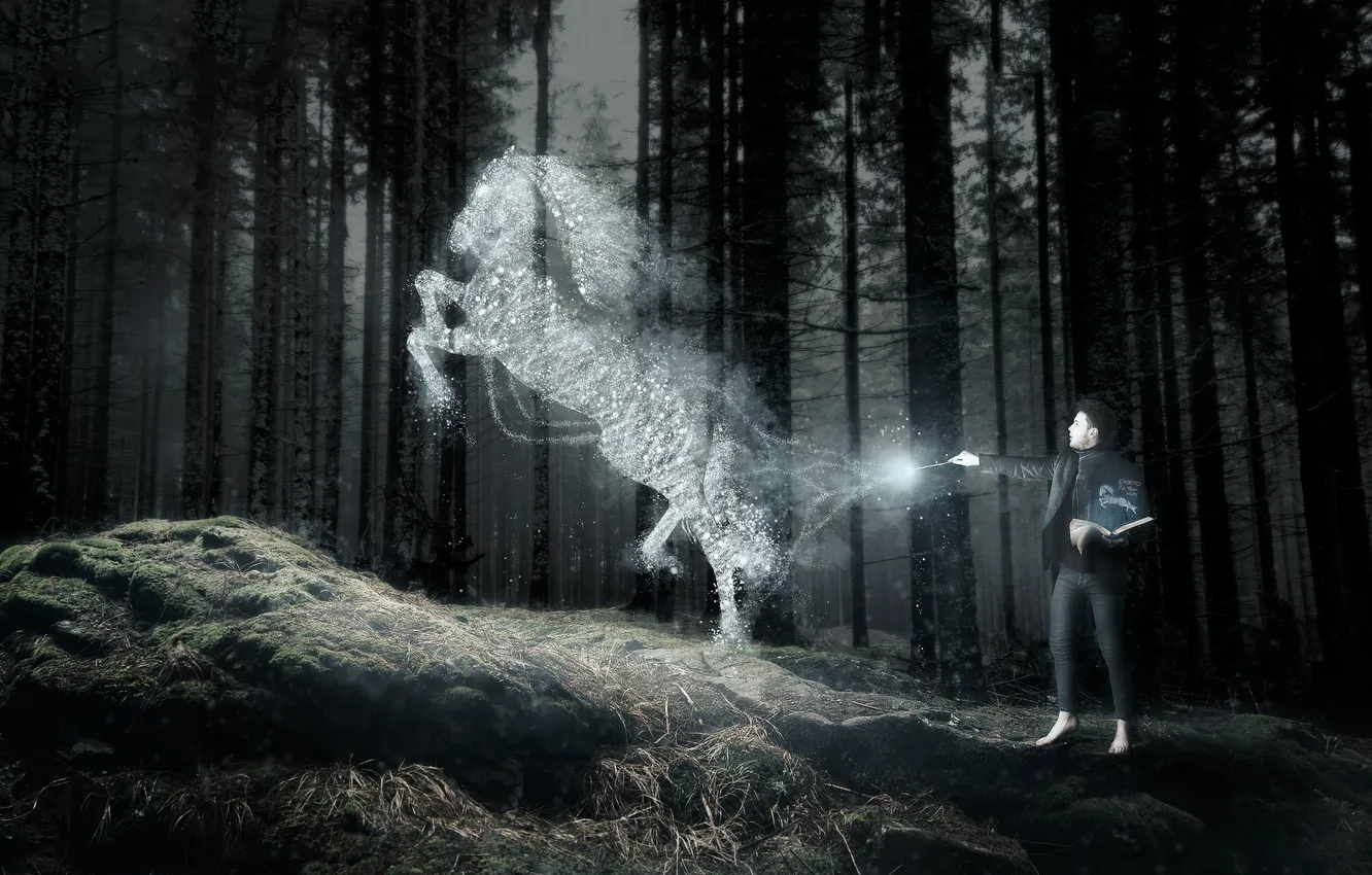 Photo wallpaper forest, horse, people