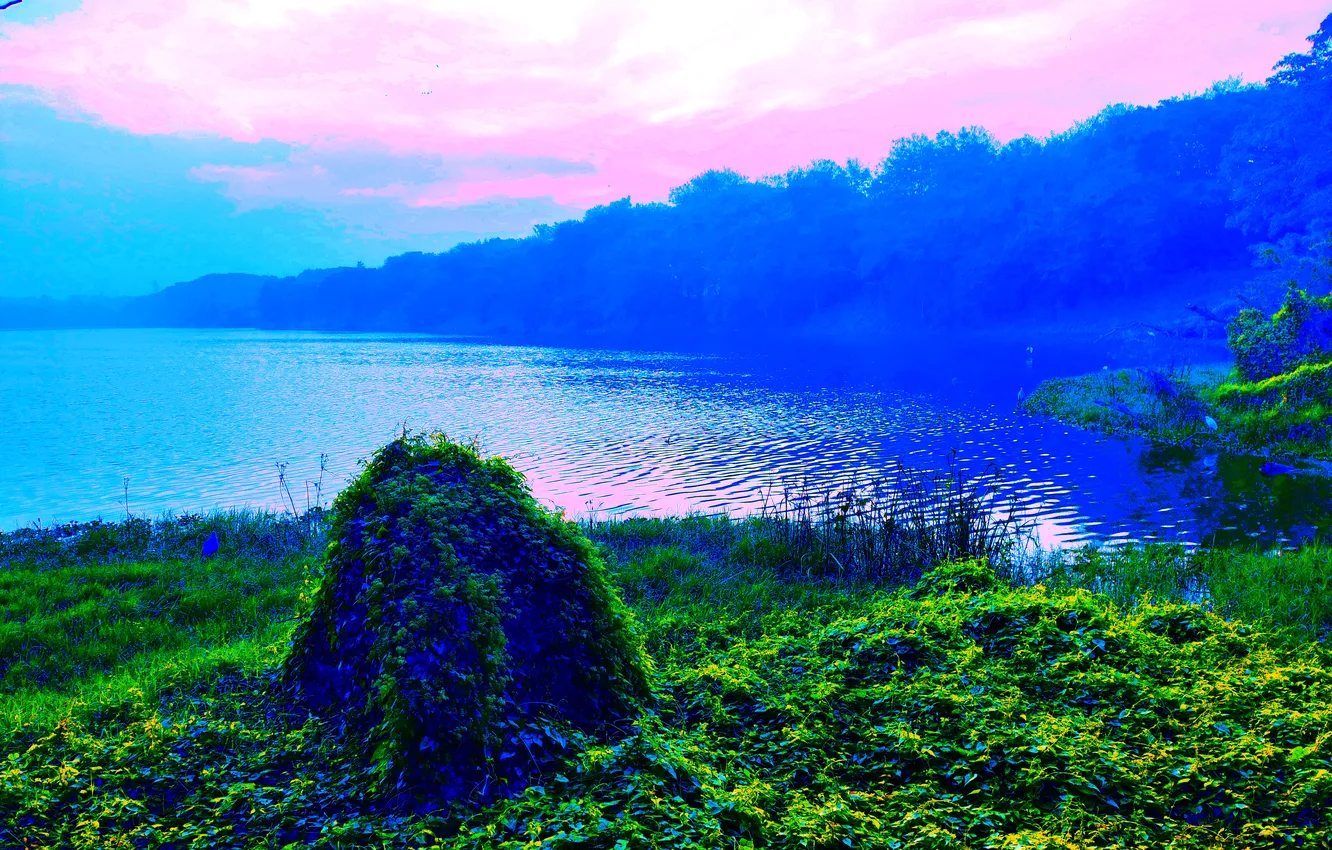 Photo wallpaper grass, sky, trees, water, clouds, lake, morning, bushes