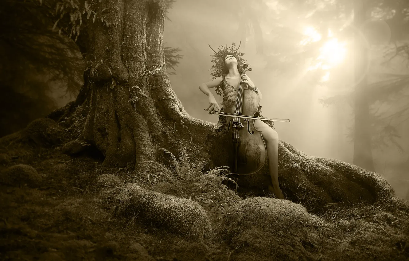 Photo wallpaper forest, girl, the sun, music, the game, nymph, bass, Tracy Lundgren