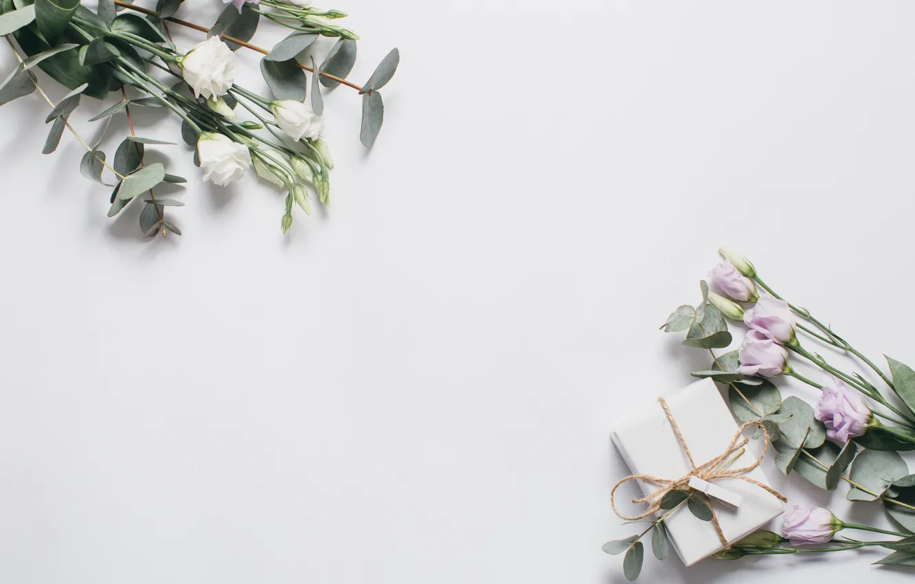 Photo wallpaper flowers, gift, white, fresh, pink, flowers, beautiful, gift