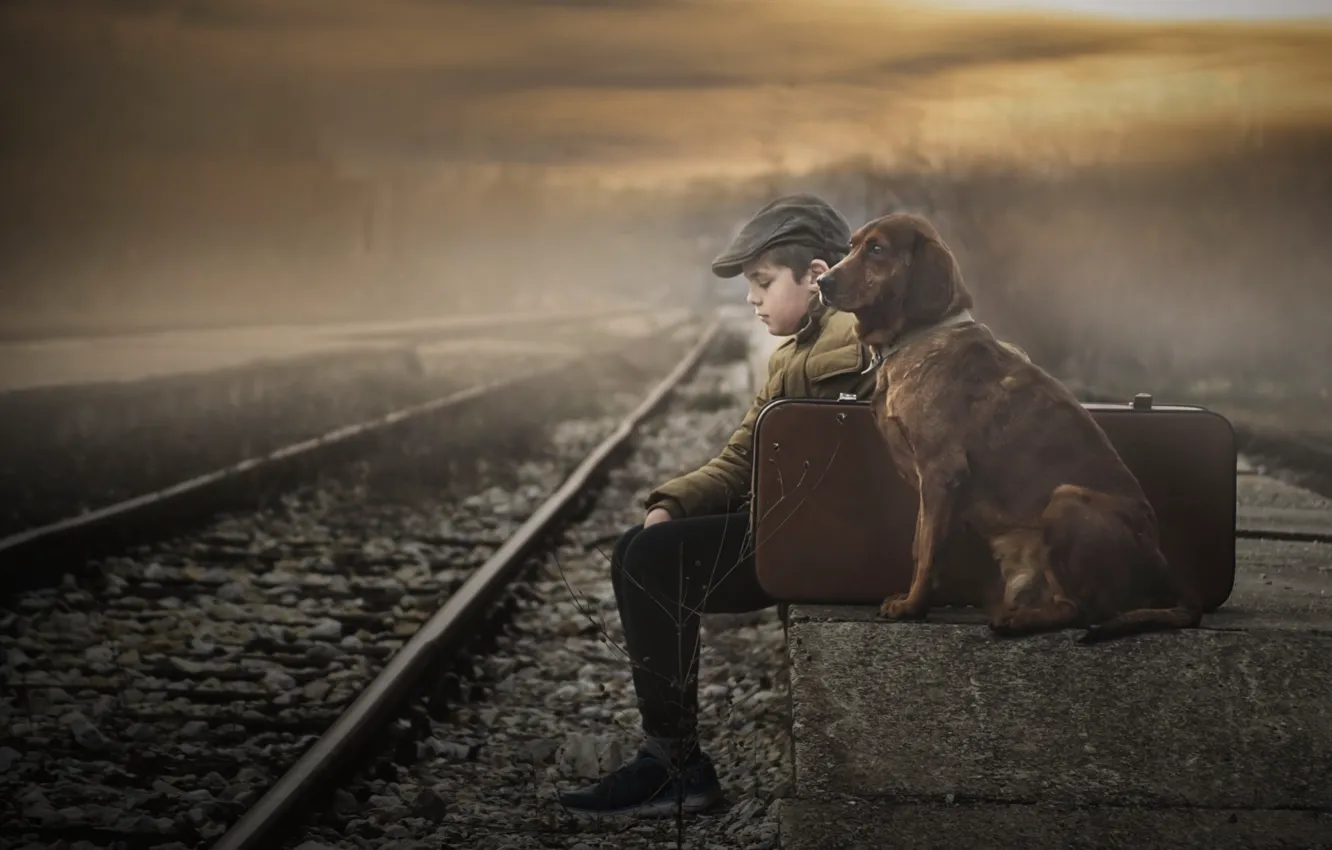 Photo wallpaper dog, boy, railroad, friends