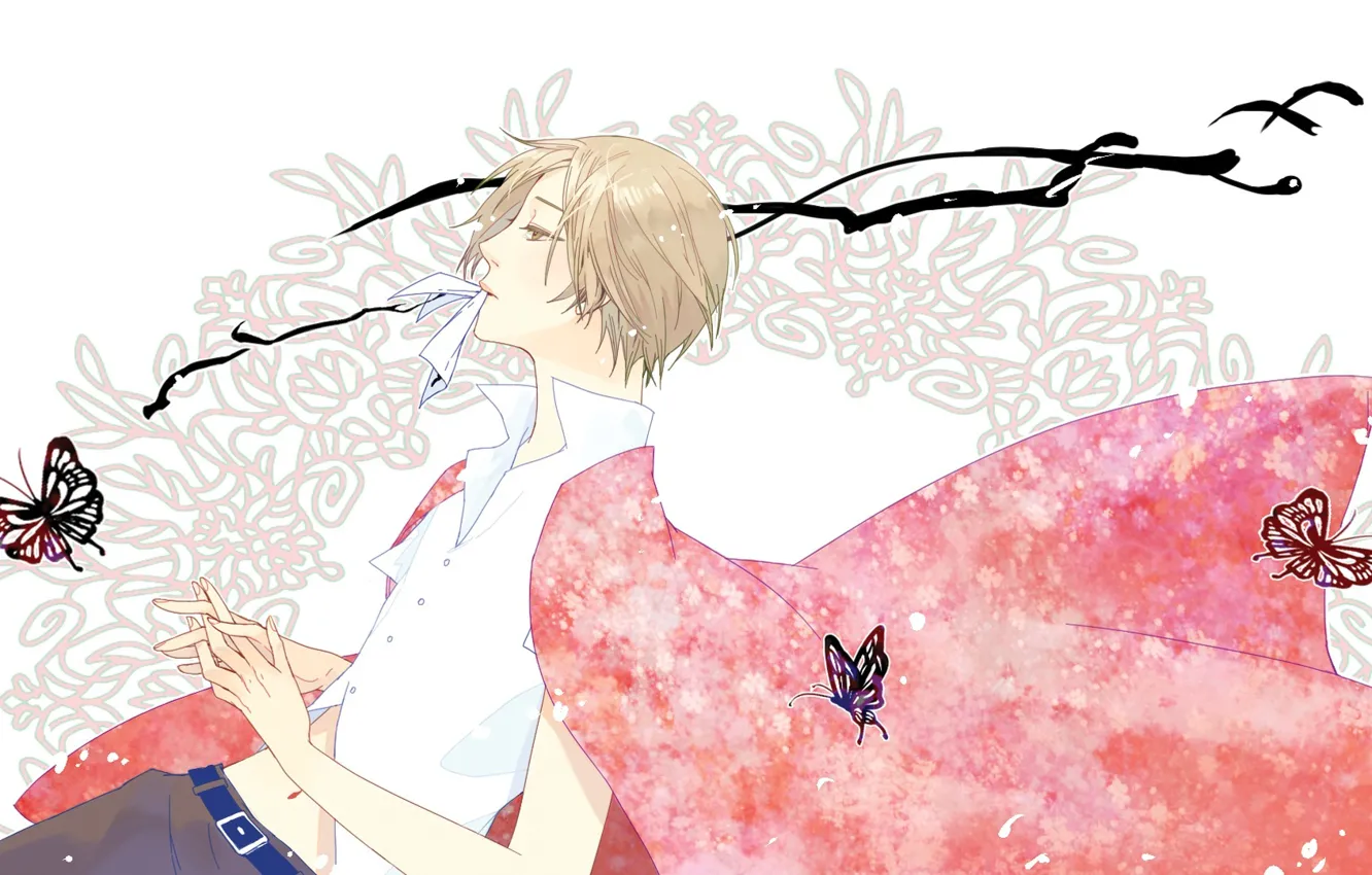 Photo wallpaper art, guy, natsume yuujinchou, Natsume