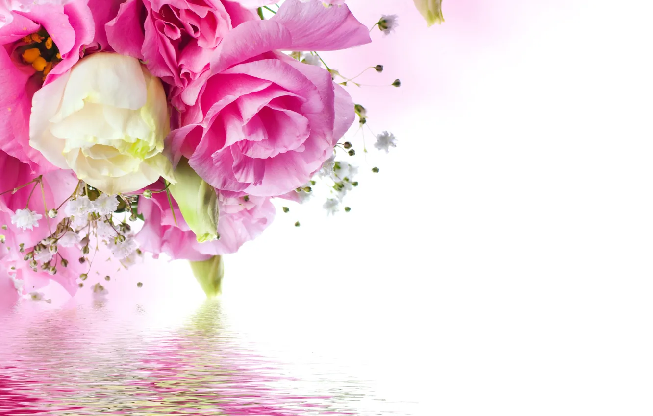 Photo wallpaper roses, white, pink, water, blossom, flowers, beautiful, reflection