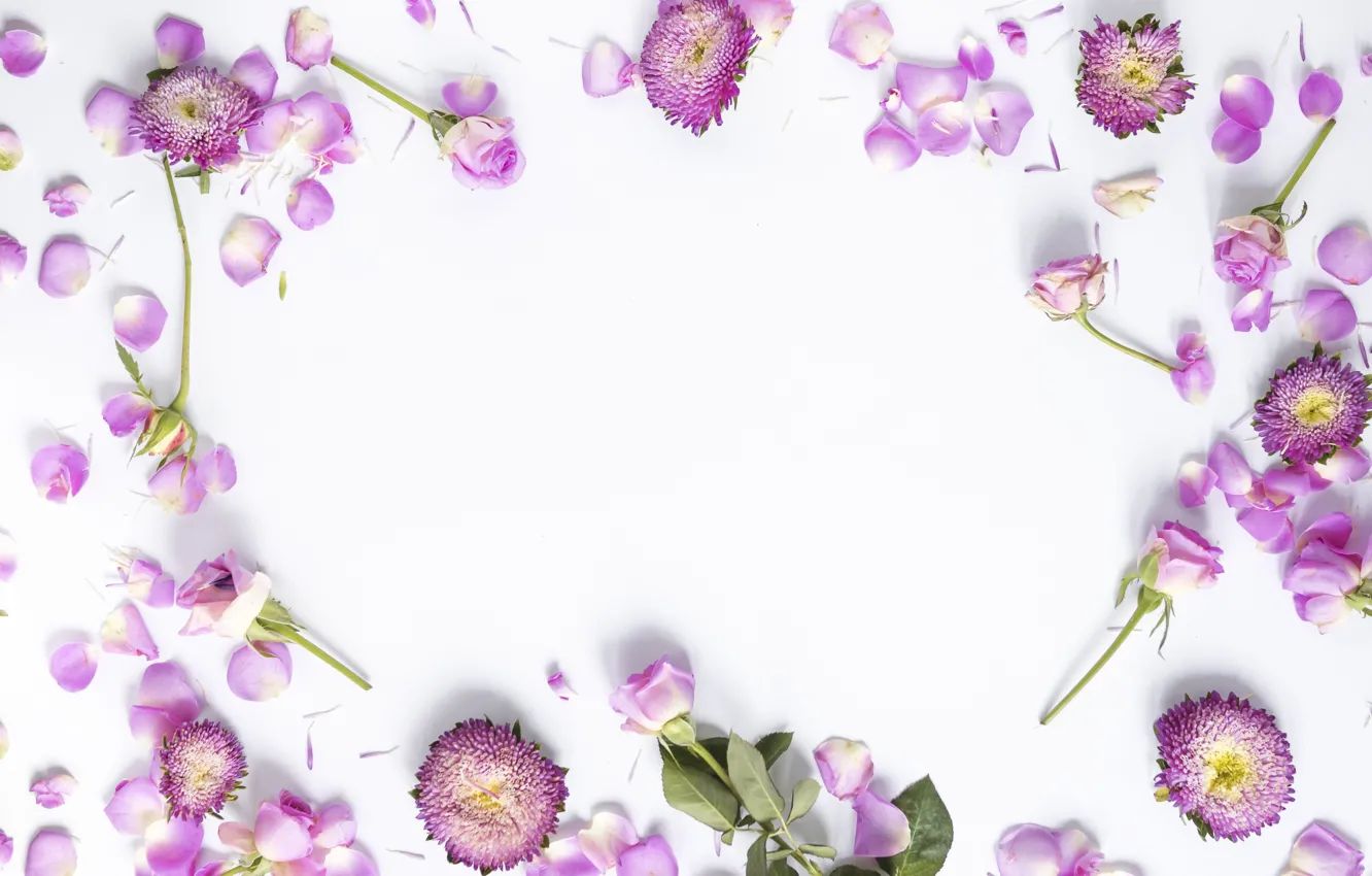 Photo wallpaper flowers, background, roses, petals, pink, buds, pink, flowers