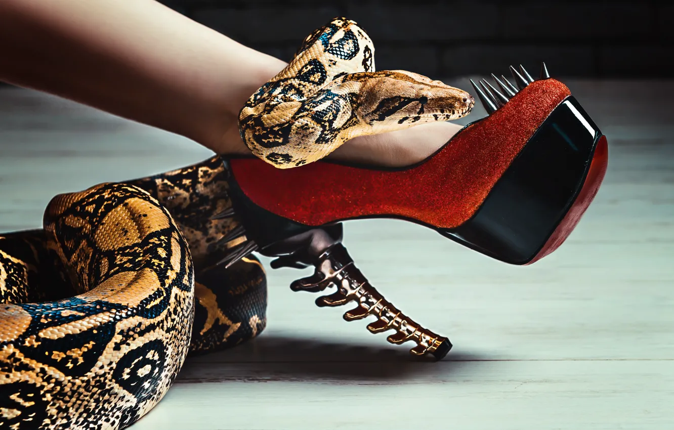 Photo wallpaper snake, spikes, heels, leg, Shoe