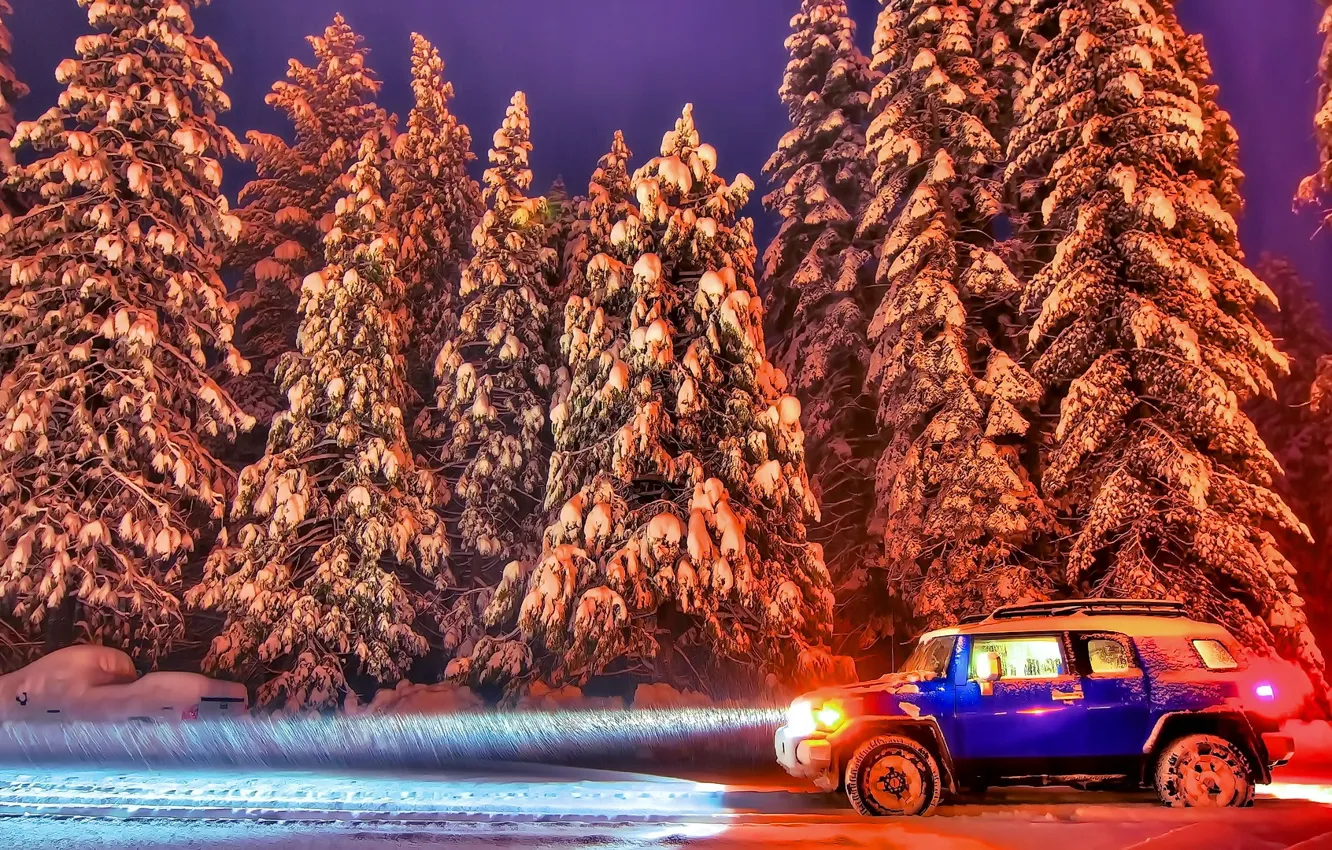 Photo wallpaper winter, auto, forest, the sky, snow, trees, road