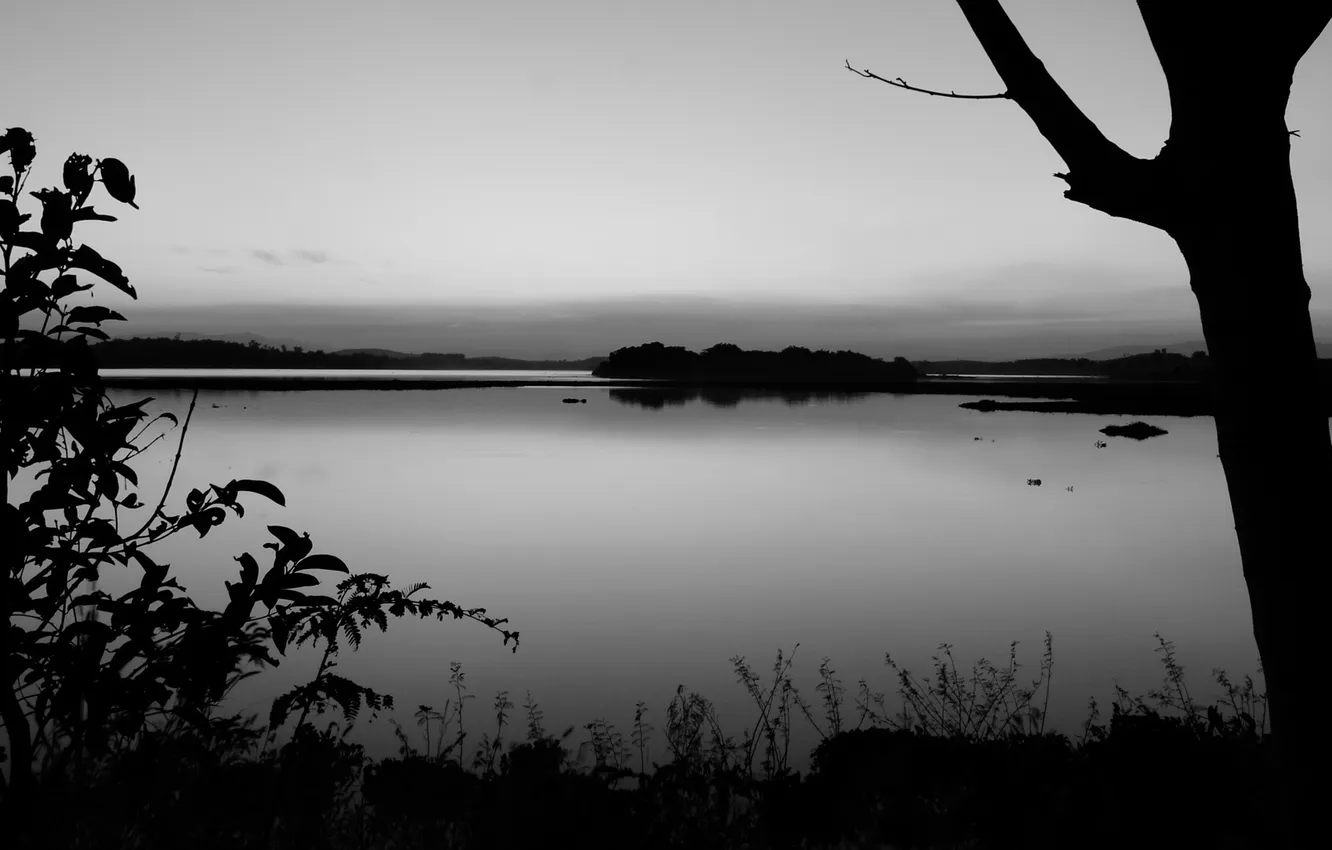 Photo wallpaper the sky, trees, landscape, nature, river, photo, background, Wallpaper