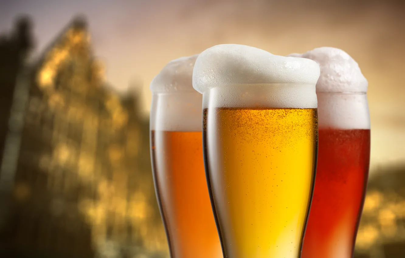 Photo wallpaper beer, glasses, Alcoholic, Beverage