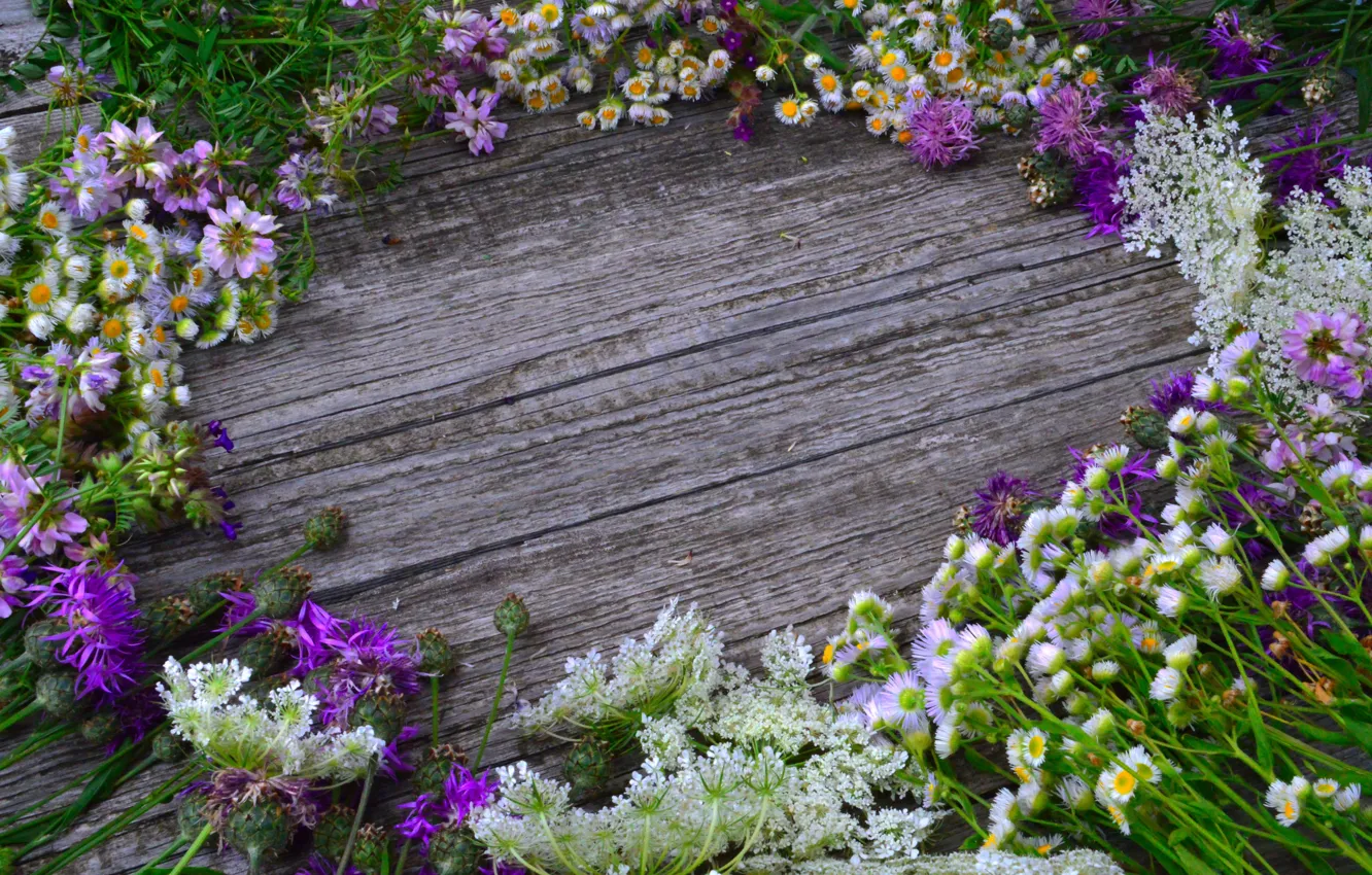 Photo wallpaper trees, background, wildflowers