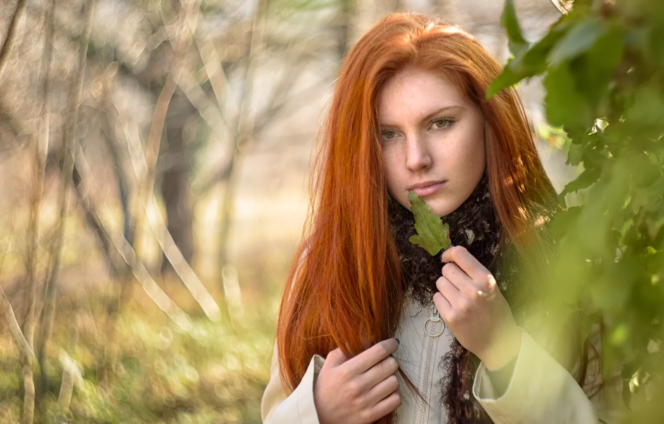 Photo wallpaper greens, look, leaves, girl, light, branches, nature, leaf