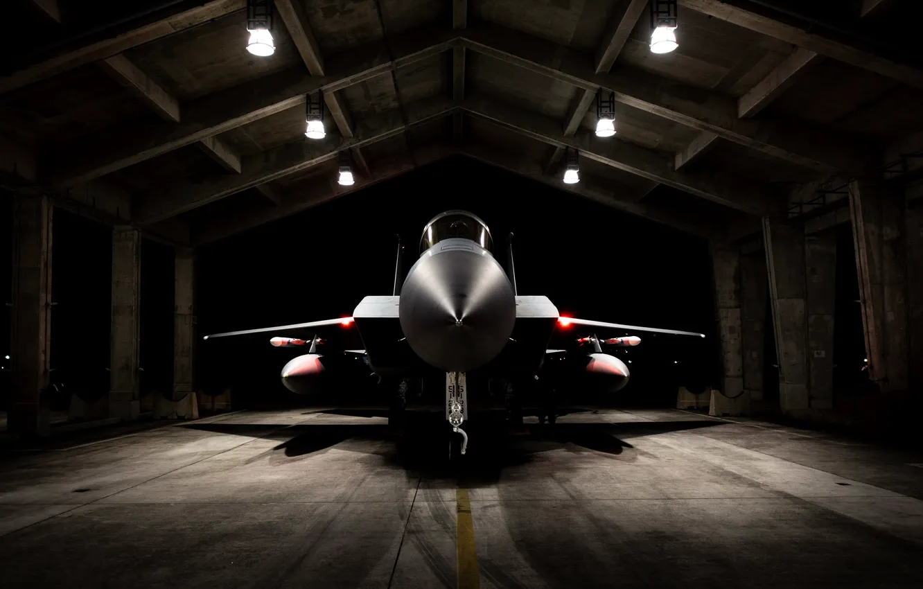 Photo wallpaper Eagle, UNITED STATES AIR FORCE, the fourth generation, McDonnell Douglas, Double training option, F-15D, American …