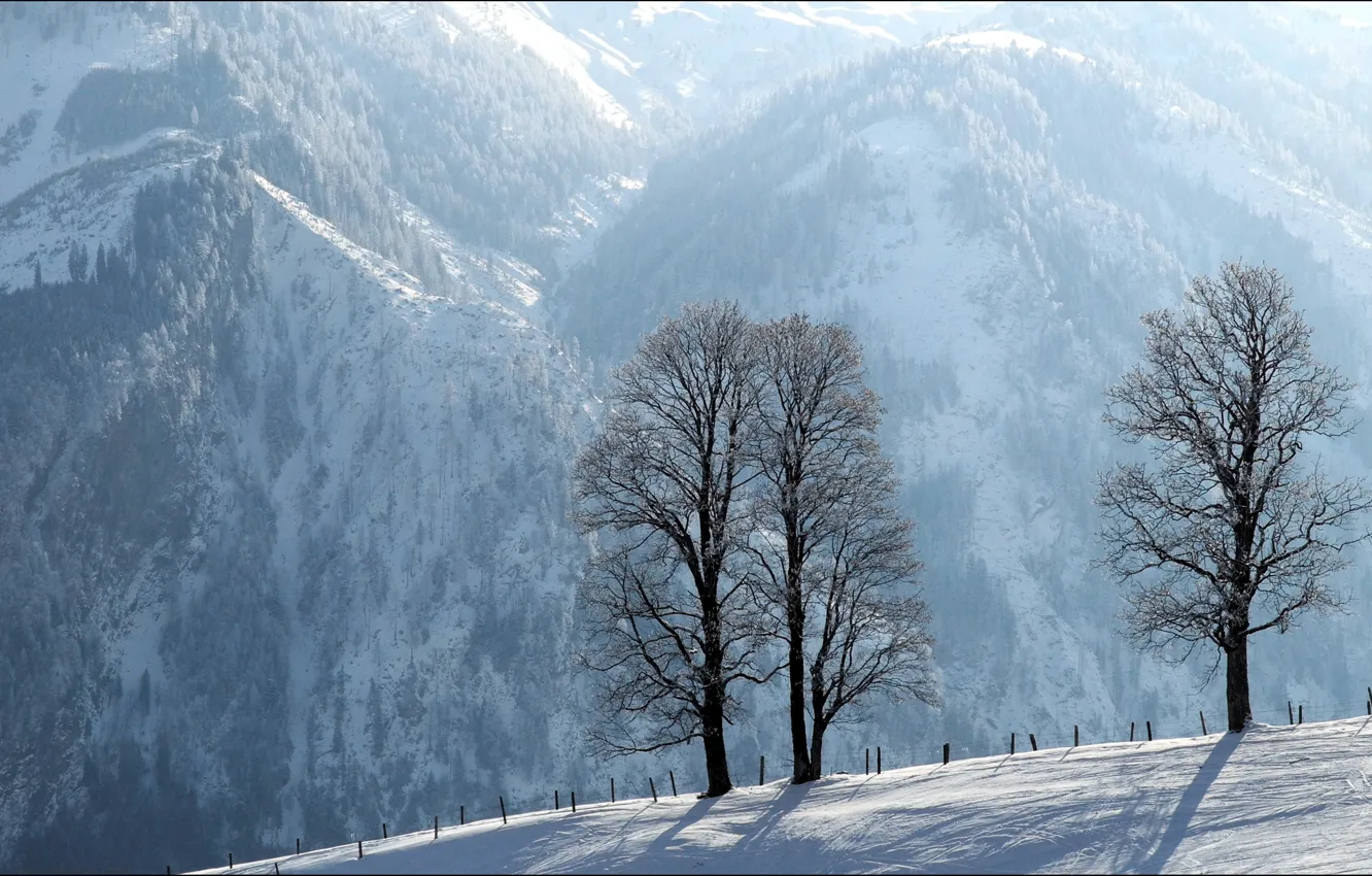 Photo wallpaper winter, trees, landscape, mountains, the fence