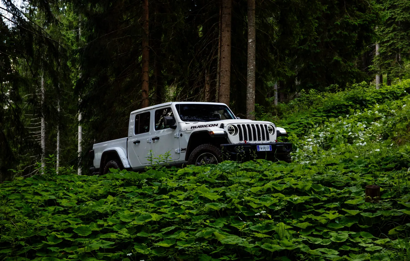 Photo wallpaper white, SUV, pickup, Gladiator, 4x4, Jeep, Rubicon, in the woods