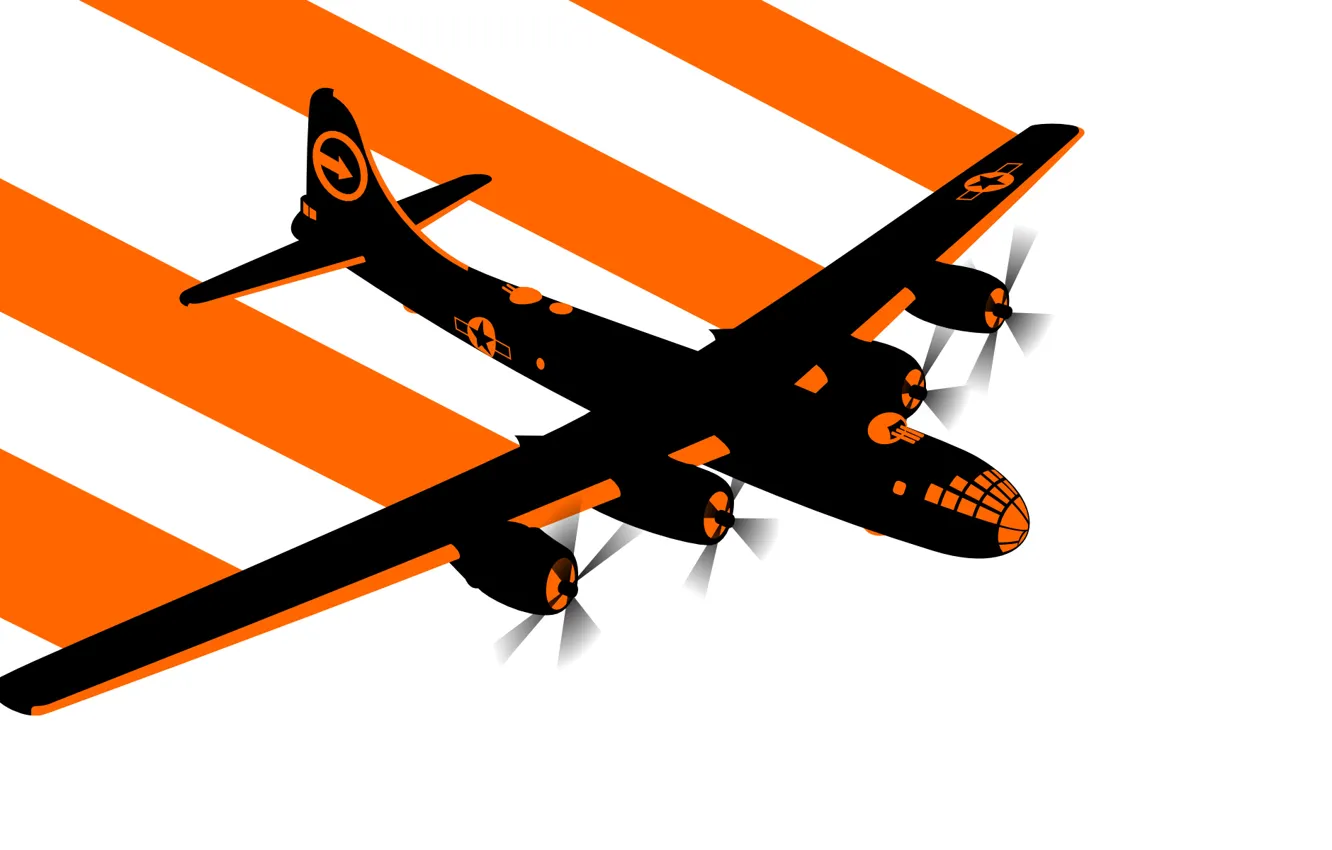 Photo wallpaper vector, bomber, the plane
