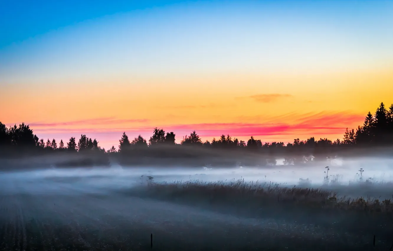 Photo wallpaper field, fog, morning