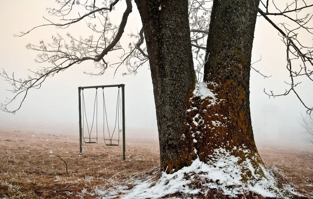 Photo wallpaper frost, snow, trees, swing, branch, Playground, Fog., the beginning of winter