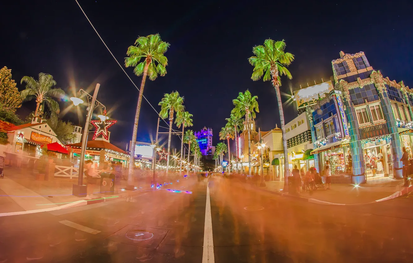 Photo wallpaper night, the city, lights, Park, home, Disneyland