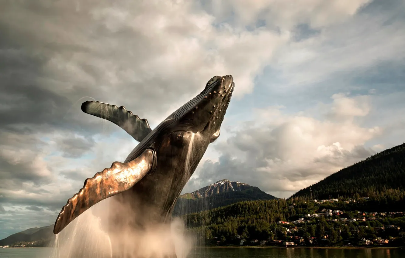 Photo wallpaper forest, the sky, clouds, the city, kit, water splashes