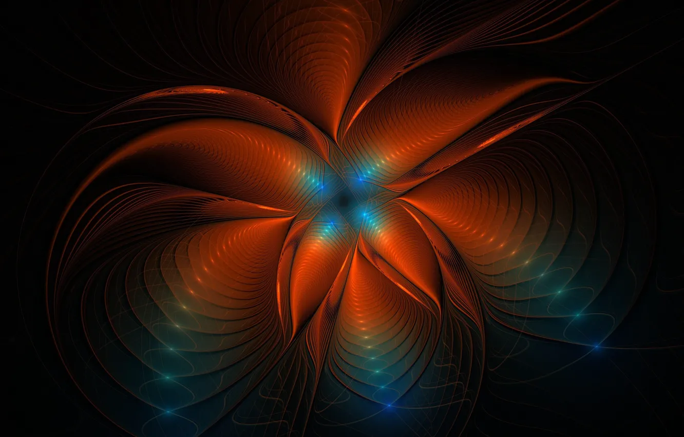 Photo wallpaper rays, light, line, flowers, petals, the volume