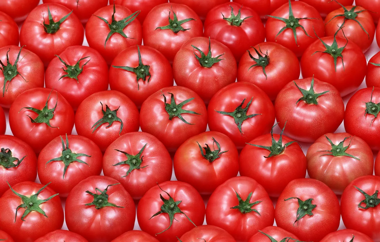 Photo wallpaper background, texture, vegetables, tomatoes, tomatoes, red fruit
