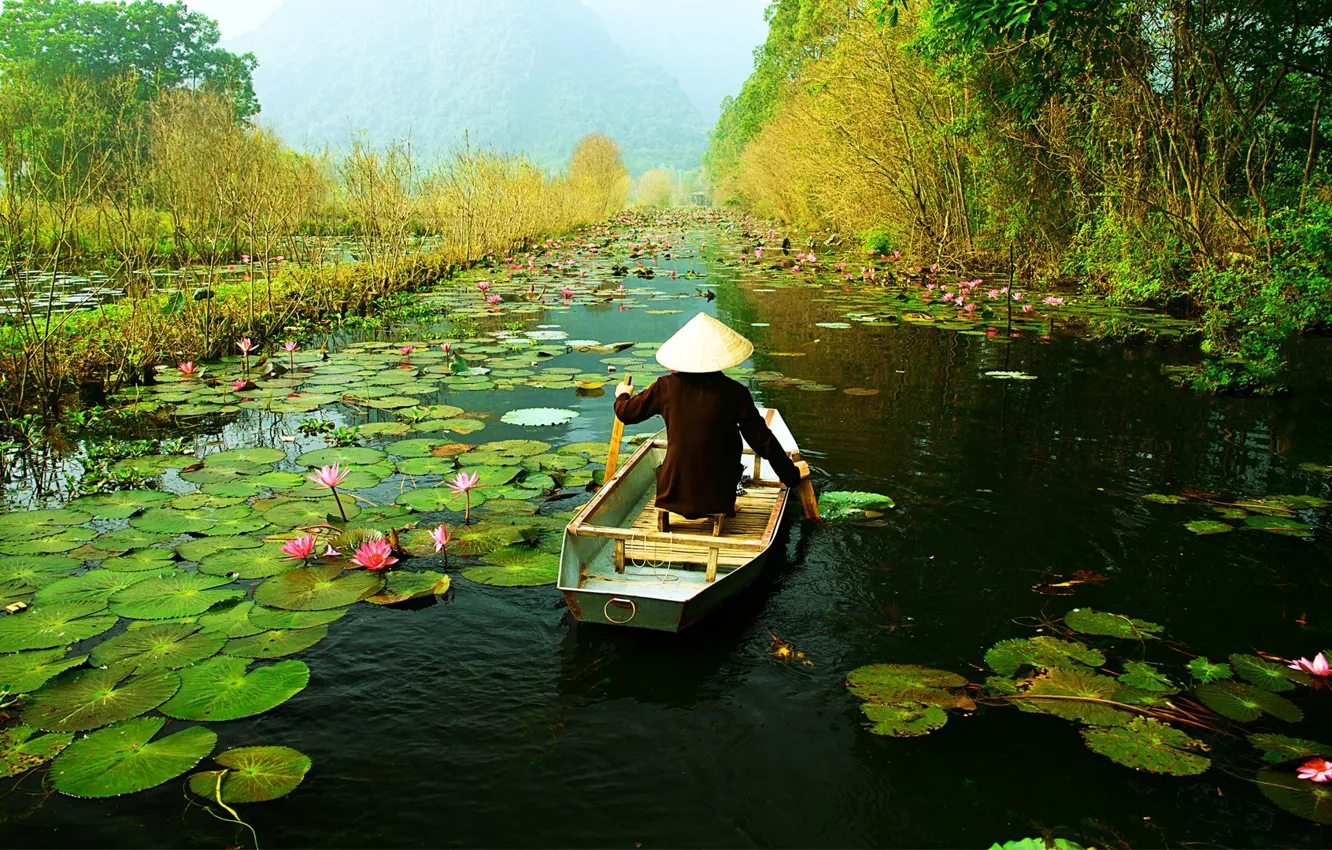 Photo wallpaper leaves, flowers, river, boat, Lotus, Vietnam