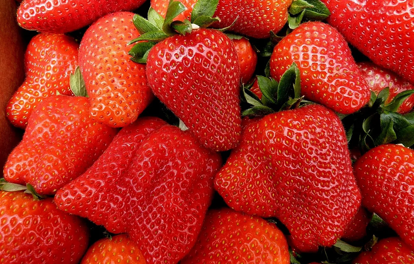 Photo wallpaper strawberry, berry, red, ripe, juicy