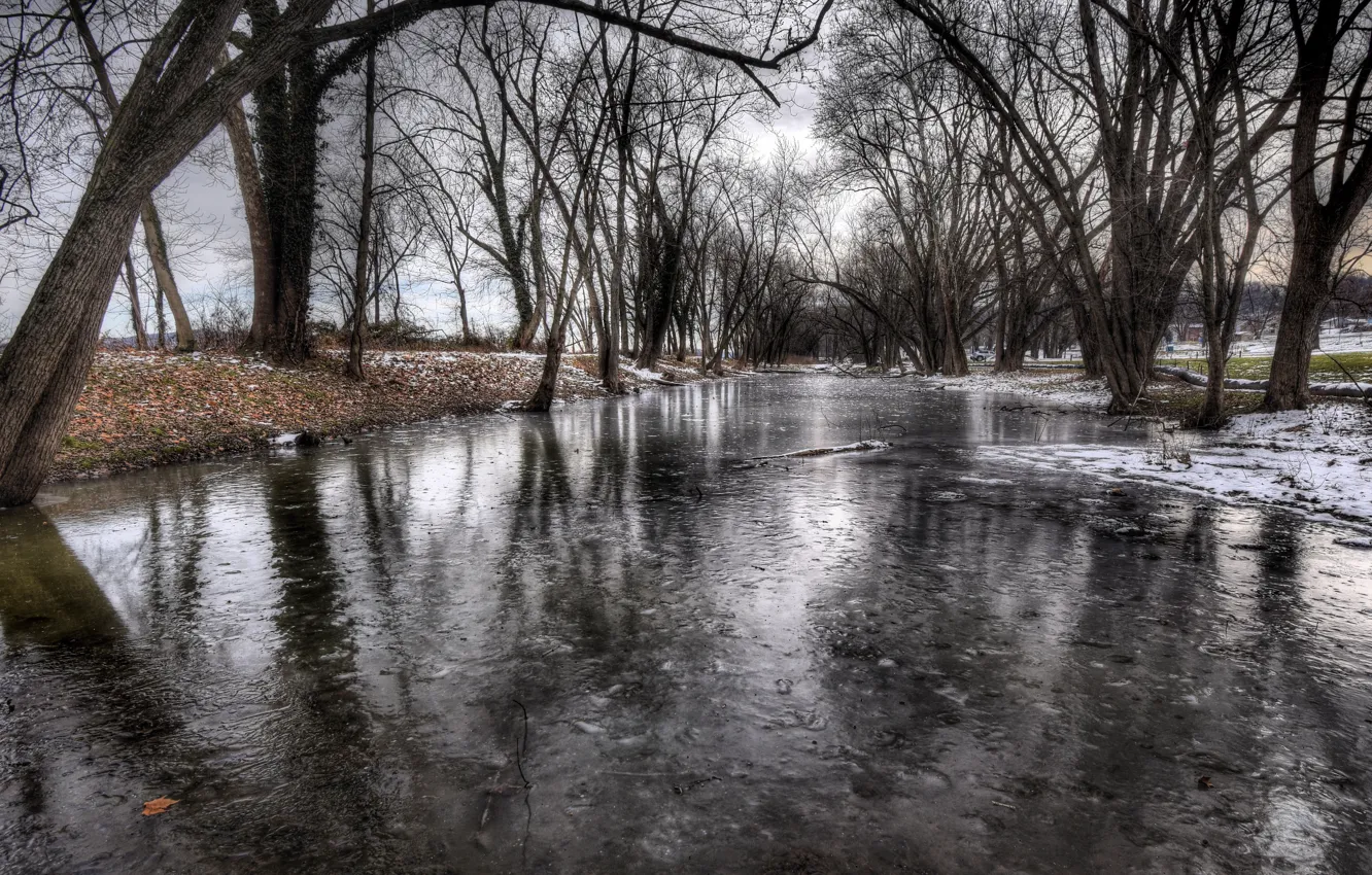 Photo wallpaper winter, nature, puddle