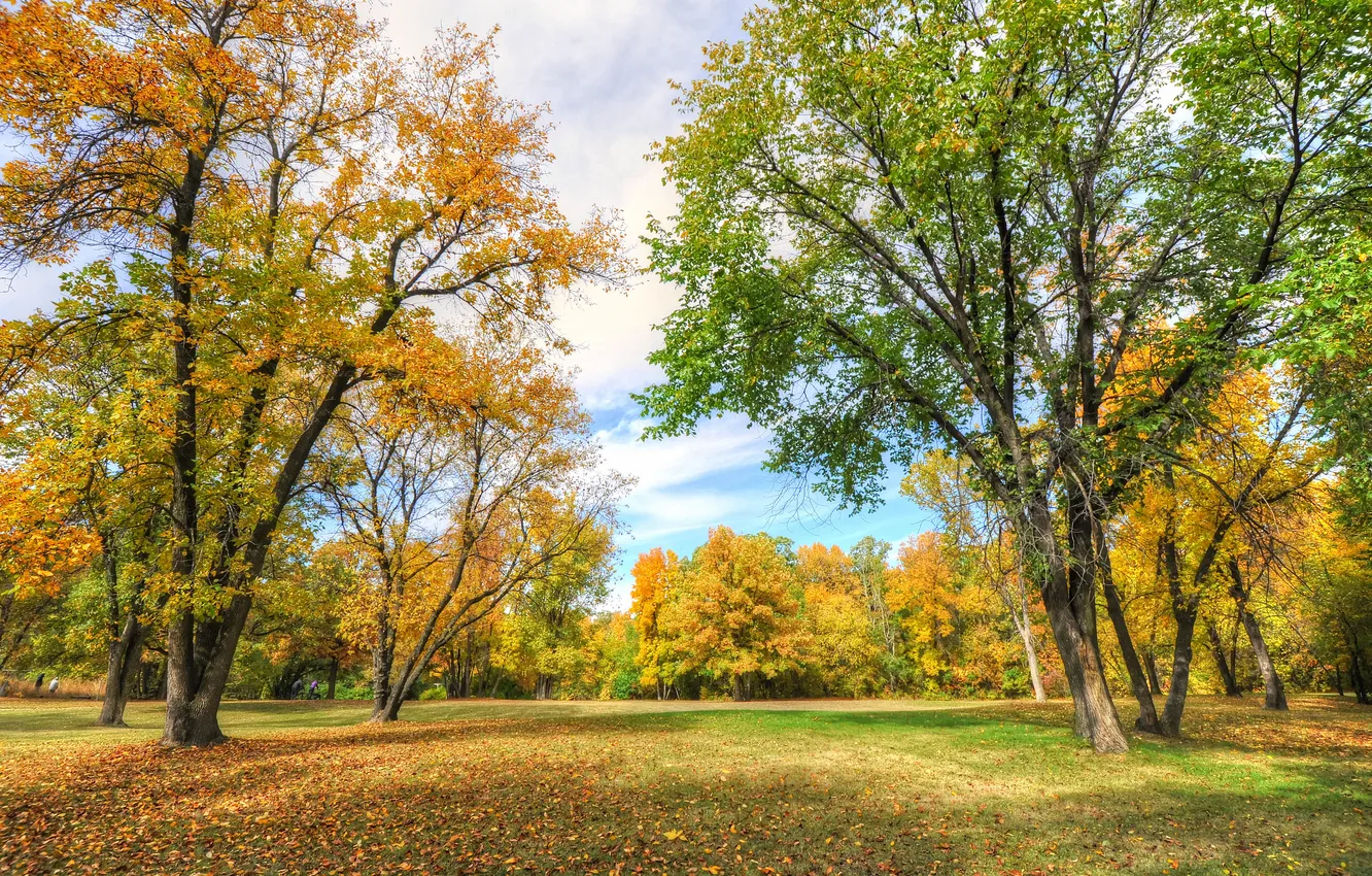 Photo wallpaper autumn, the sky, grass, leaves, trees, Park, people
