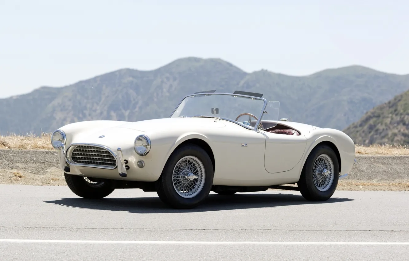 Photo wallpaper Shelby, Cobra, supercar, the front, Cobra, 1963, Shelby, 289