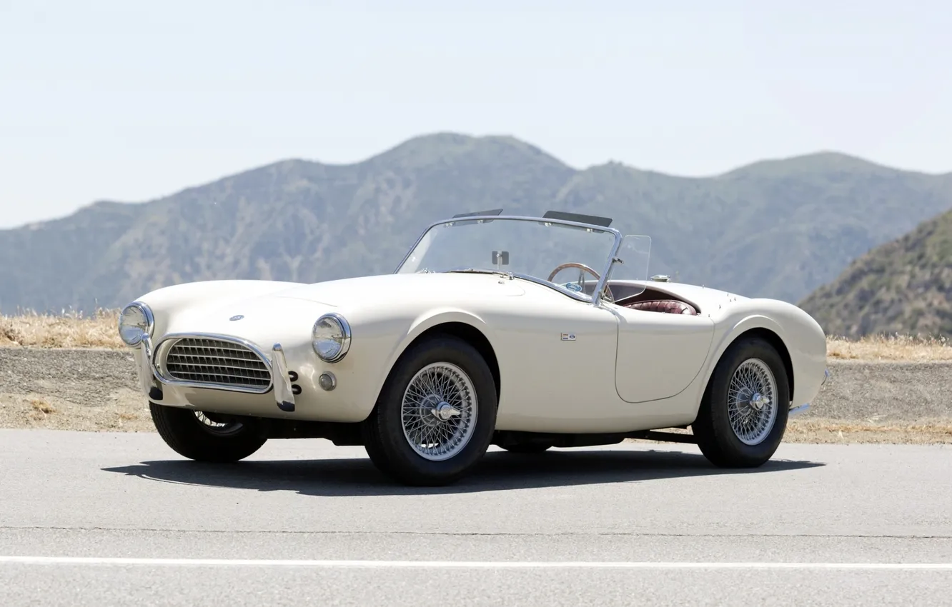 Photo wallpaper Shelby, supercar, Cobra, Shelby, the front, Cobra, 1963, 289