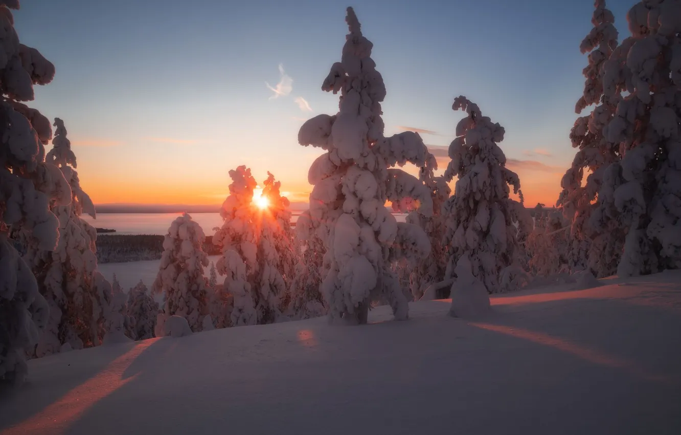 Photo wallpaper winter, snow, morning, ate, sunlight, trees in the snow, Winter morning, Istomin Vitaly