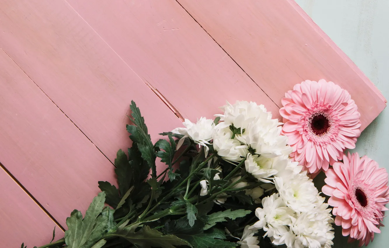 Photo wallpaper flowers, pink, white, chrysanthemum, wood, flowers, spring, gerbera
