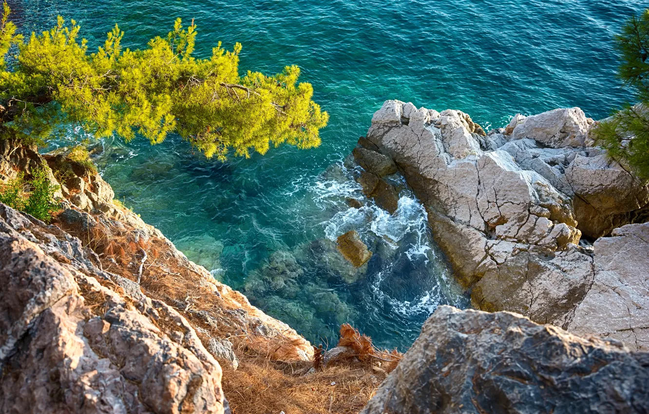 Photo wallpaper Nature, Sea, Tree, Open, Rocks, Wave