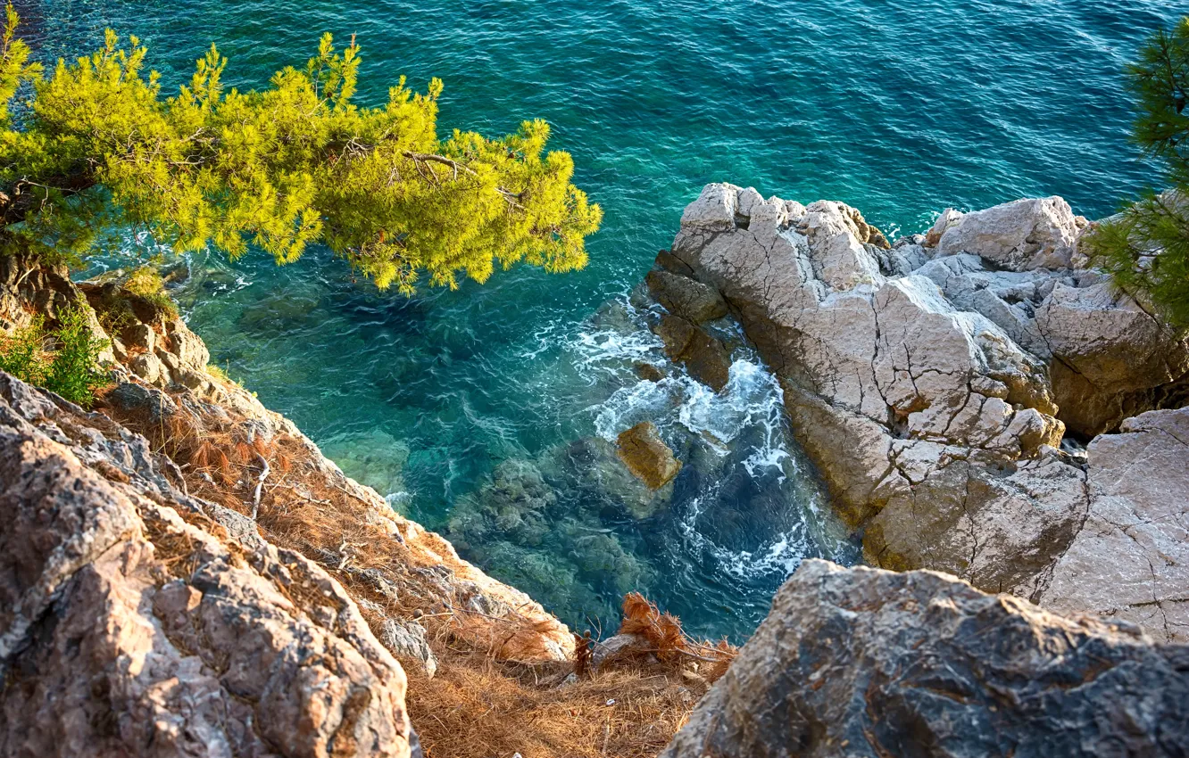 Photo wallpaper sea, wave, trees, nature, open, rocks
